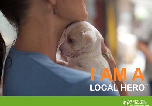 Branding Package Example: Branding Project with Procter & Gamble : IAMS