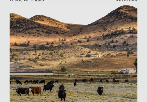 Branding Package Example: KWUA | Strategic Planning, PR, and Web Design