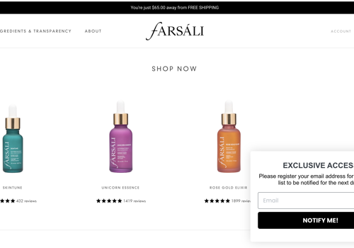 Market Research Package Example: Project with Farsali - Ecommerce industry