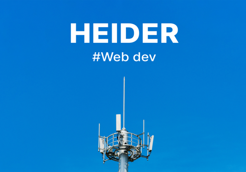 Web Development Package Example: Web Dev | Telecommunications Company