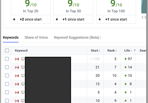 Search Engine Optimization Package Example: Driving Organic Growth with SEO