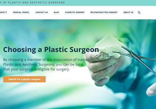 Web Design Package Example: ISPAS Website