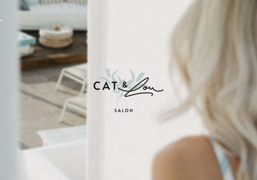 Branding Package Example: Brand Guideliness and Website Design & Development