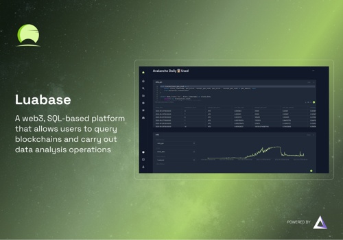 Custom Software Development Package Example: Luabase
