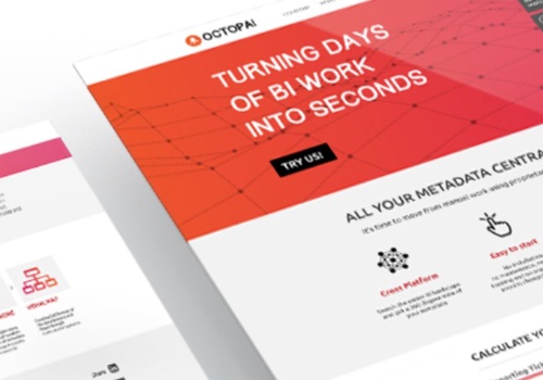 Branding Package Example: Octopai - Marketing strategy and CRM Automation