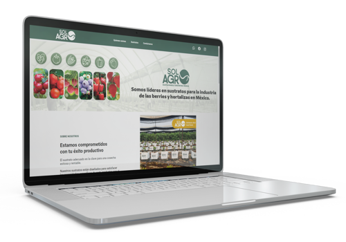 Web Design Package Example: Solo Agro