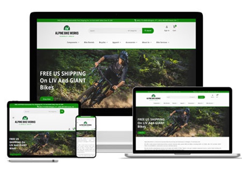 Web Design Package Example: Alpine Bike Works