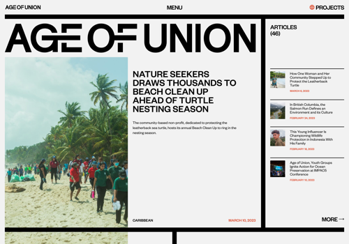 Digital Strategy Package Example: Age of Union Website