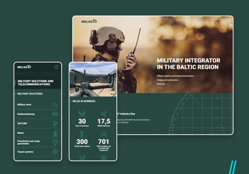 Web Design Package Example: Belss - Website development and maintenance