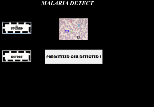 Custom Software Development Package Example: Malaria detection POC