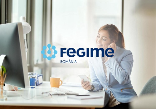 IT Strategy Consulting Package Example: Fegime Romania