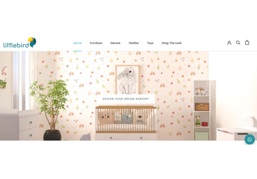 E-Commerce Development Package Example: LittleBird India: E-Commerce Website Development