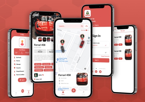 Mobile App Development Package Example: NearFold