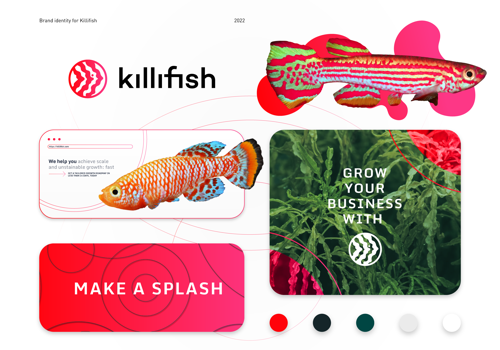 Branding Package Example: Brand Identity for Killifish