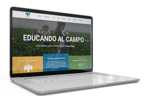 Web Design Package Example: O.E.A.C