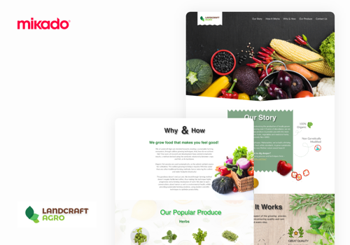 Search Engine Optimization Package Example: The fruit of soilless agriculture