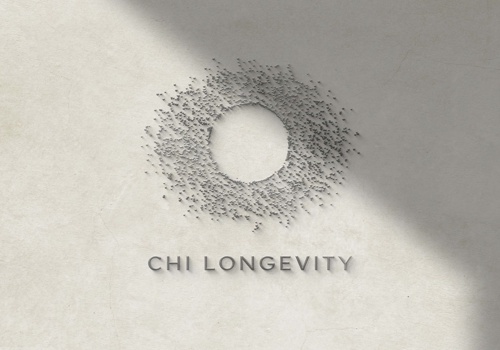Branding Package Example: Chi Longevity -Setting New Benchmarks in Longevity
