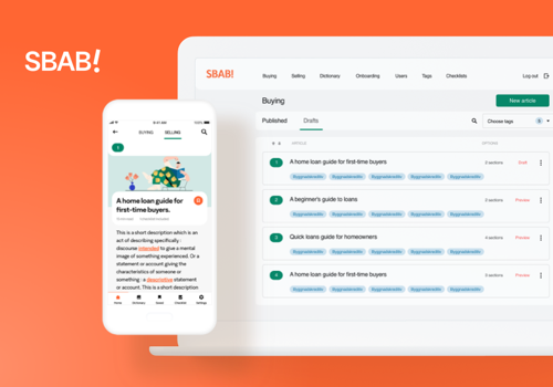 Mobile App Development Package Example: SBAB