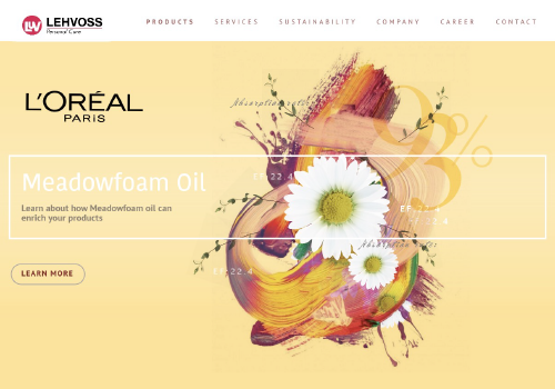 Advertising Package Example: Lehmann & Voss - Personal Care - B2B Branding