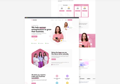 Web Design Package Example: Hexagon - Women entrepreneurial activities