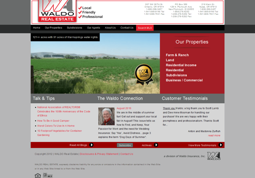 Web Design Package Example: Waldo Real Estate