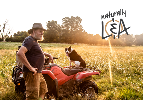 Branding Package Example: Naturally L&A