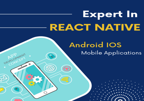 Web Development Package Example: Expert React Native Mobile Application Developer