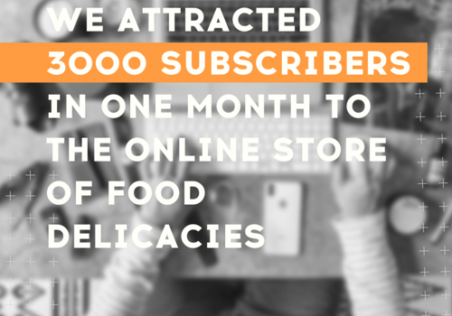 Market Research Package Example: We attracted 3000 subscribers in one month