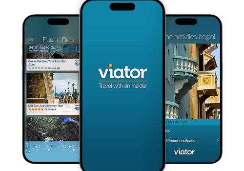 Mobile App Development Package Example: Create Viator Mobile Application and Web Platform