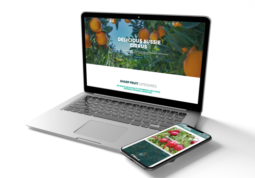 Web Design Package Example: Enhancing Premier Stonefruit Fruit Packing Brand