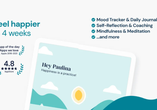 Mobile App Development Package Example: Mindshine