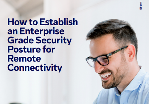 Content Writing Services Package Example: Whitepapers on Security Perspectives