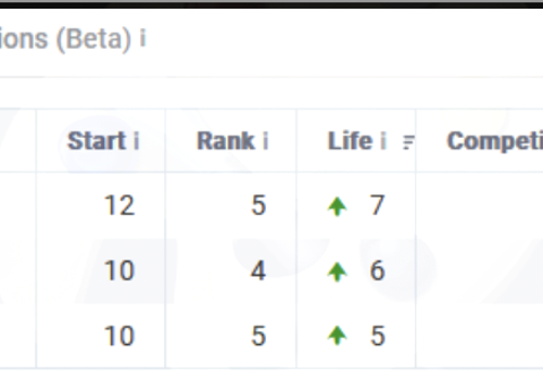 Search Engine Optimization Package Example: Search Engine Rankings Improvements