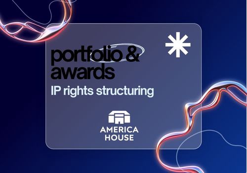 Corporate Law Package Example: IP rights structuring