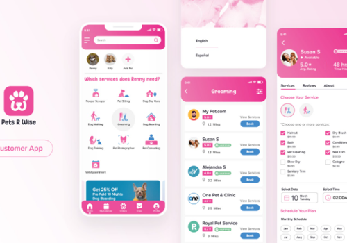 Custom Software Development Package Example: PetRWise