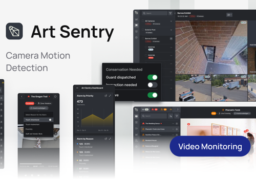 Custom Software Development Package Example: Security Video Monitoring Software