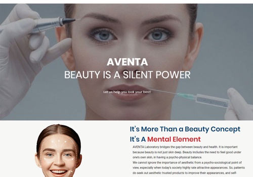 Social Media Marketing Package Example: AVENTA Website