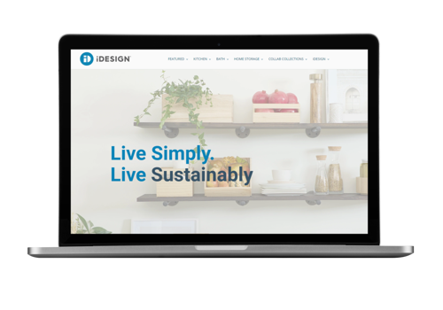 Web Design Package Example: B2C/DTC Ecom Shopify Website