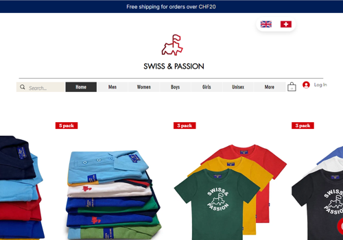 Web Design Package Example: Website Design and Development in WIX