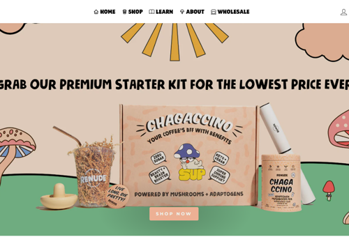 UX/UI Design Package Example: Shopify Store Development