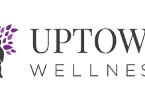 Digital Strategy Package Example: Digital Strategy for Psychotherapy Clinic