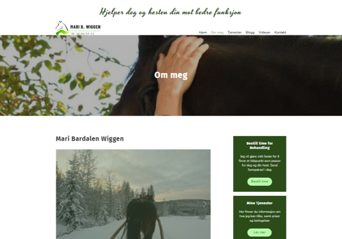 Custom Software Development Package Example: Maribwiggen Web Portal