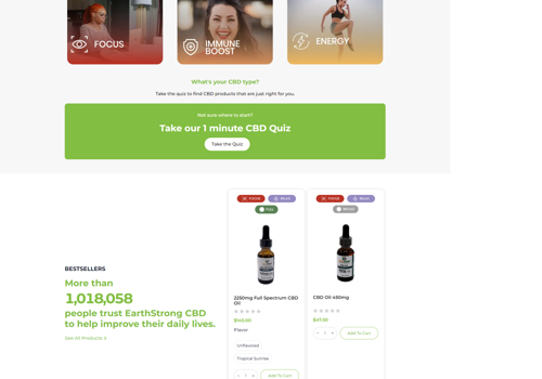 Web Development Package Example: Earth Strong WooCommerce Solutions