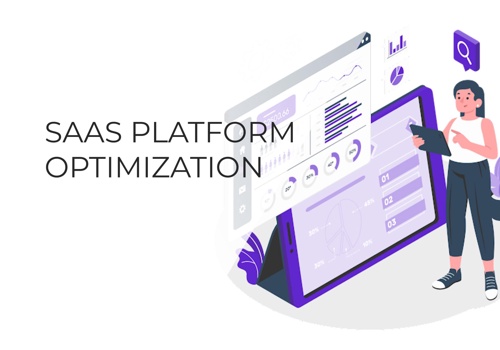 Custom Software Development Package Example: SaaS Platform Optimization