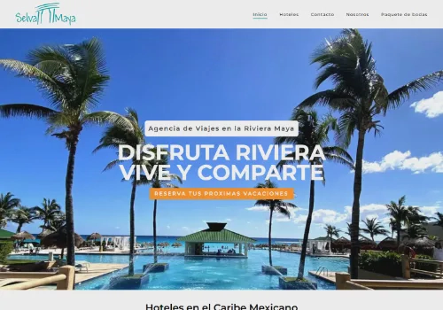 Web Design Package Example: Website With Custom Reservation Form