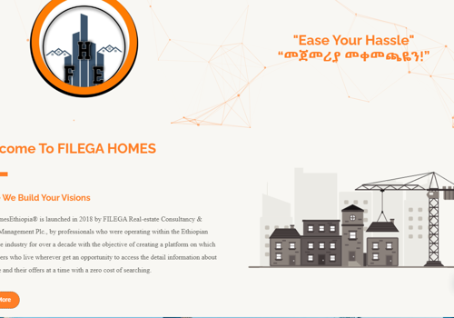 Web Design Package Example: Filega Homes Ethiopia
