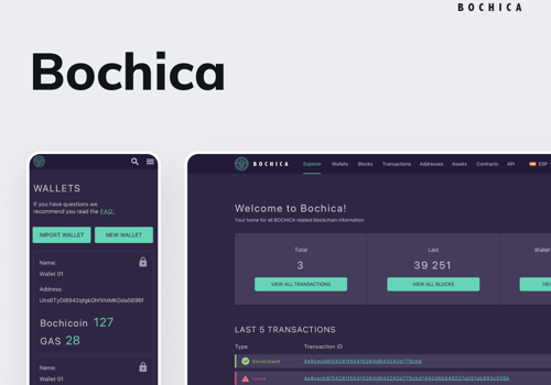 Custom Software Development Package Example: Bochica