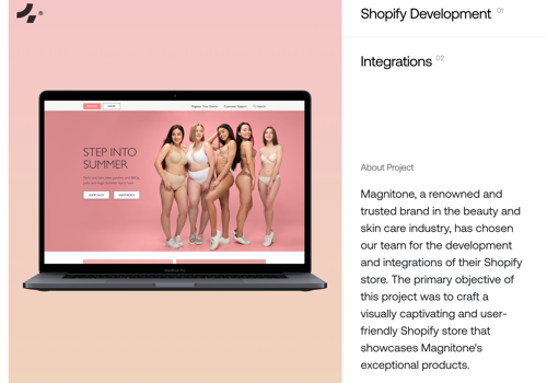 Web Development Package Example: Shopify Development | Magnitone