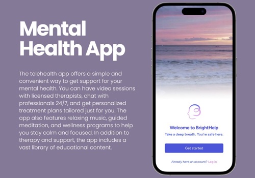 IT Staff Augmentation Package Example: Mental Wellness Application