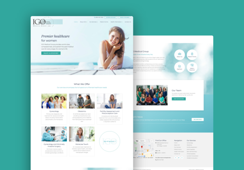 Web Design Package Example: IGO Medical Group